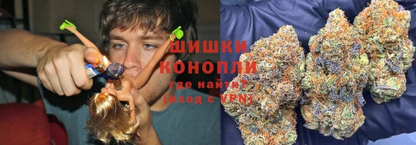 2c-b Горно-Алтайск