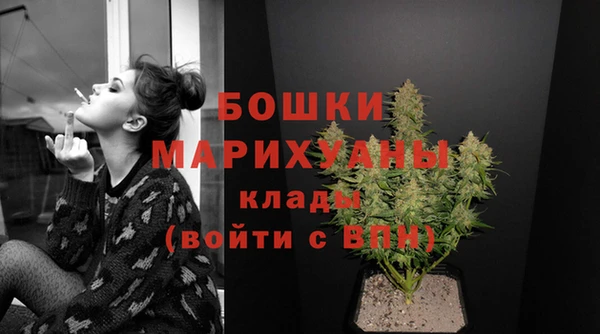 2c-b Горно-Алтайск