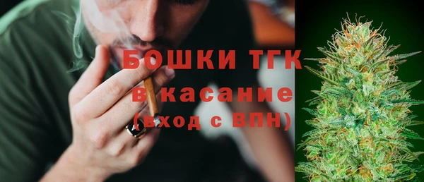 дмт Горнозаводск