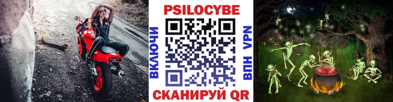 Галлюциногенные грибы Cubensis  купить  цена  Десногорск 